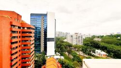 The Cairnhill (D9), Condominium #444278341